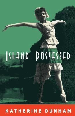 bokomslag Island Possessed