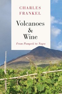 bokomslag Volcanoes and Wine