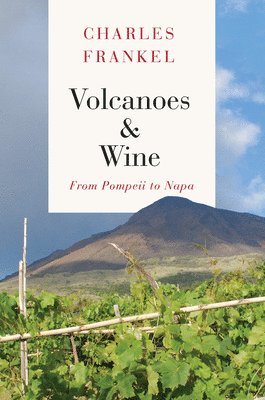 bokomslag Volcanoes and Wine