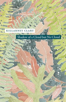 Killarney Clary - Shadow of a Cloud but No Cloud, Häftad