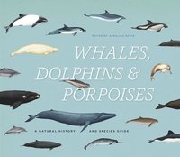bokomslag Whales, Dolphins & Porpoises