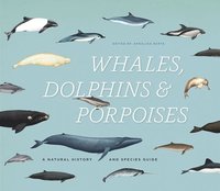 bokomslag Whales, Dolphins & Porpoises: A Natural History and Species Guide