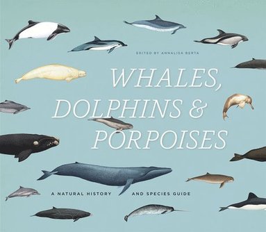 bokomslag Whales, Dolphins & Porpoises
