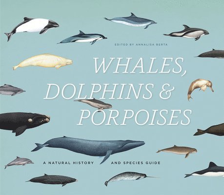 Annalisa Berta - Whales, Dolphins & Porpoises, Inbunden