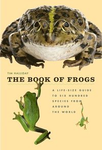 bokomslag The Book of Frogs: A Life-Size Guide to Six Hundred Species from Around the World