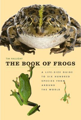 bokomslag The Book of Frogs
