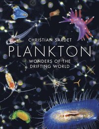 bokomslag Plankton