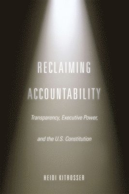 bokomslag Reclaiming Accountability