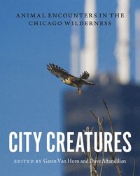 bokomslag City Creatures