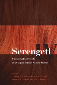 bokomslag Serengeti IV