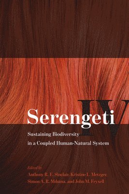 Serengeti IV 1