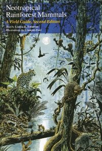 bokomslag Neotropical Rainforest Mammals