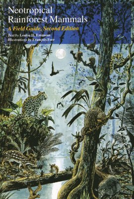 Neotropical Rainforest Mammals 1