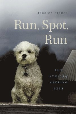 Run, Spot, Run 1