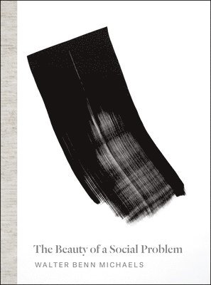 Walter Benn Michaels - Beauty of a Social Problem, Inbunden