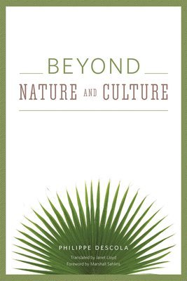 bokomslag Beyond Nature and Culture