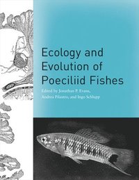 bokomslag Ecology and Evolution of Poeciliid Fishes