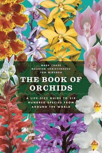 bokomslag The Book of Orchids: A Life-Size Guide to Six Hundred Species from Around the World