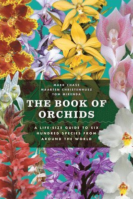 Mark Chase, Maarten Christenhusz, Tom Mirenda, Mark W. Chase, Maarten J. M. Christenhusz, Mark W Chase, Maarten J M Christenhusz - The Book of Orchids, Inbunden