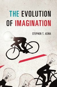 bokomslag The Evolution of Imagination