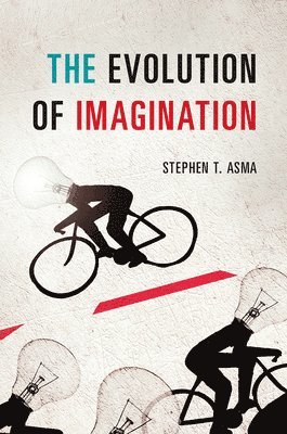 The Evolution of Imagination 1