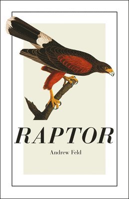 Andrew Feld - Raptor, Häftad