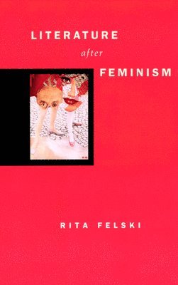 Rita Felski - Literature after Feminism, Inbunden