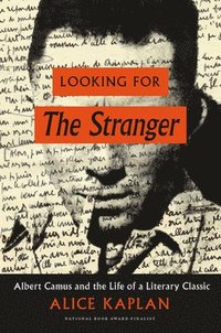 bokomslag Looking for The Stranger
