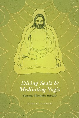 Robert Elsner - Diving Seals and Meditating Yogis, Inbunden