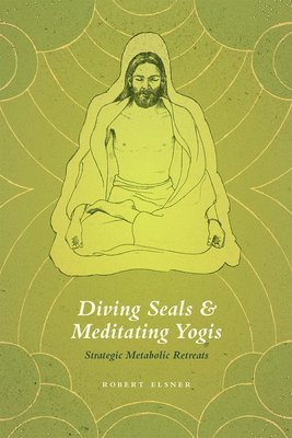 Diving Seals and Meditating Yogis 1