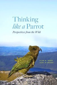 bokomslag Thinking Like a Parrot