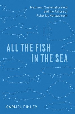 All the Fish in the Sea 1