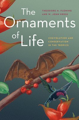 The Ornaments of Life 1