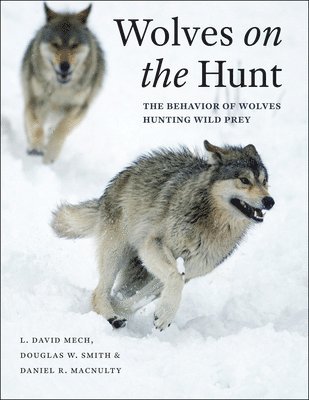 L. David Mech, Douglas W. Smith, Daniel R. MacNulty - Wolves on the Hunt, Inbunden