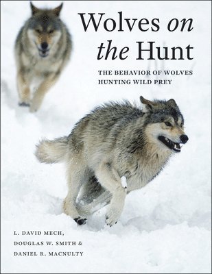 Wolves on the Hunt 1
