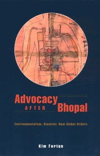 bokomslag Advocacy after Bhopal