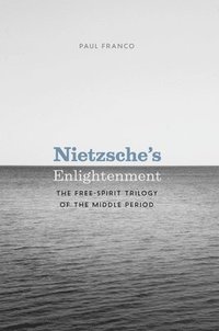 bokomslag Nietzsche's Enlightenment