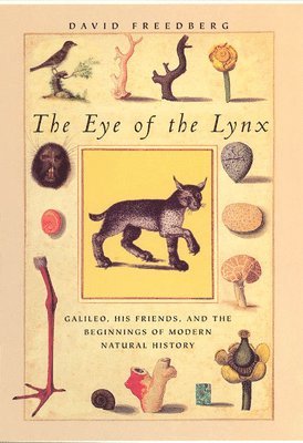 bokomslag The Eye of the Lynx