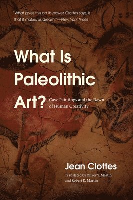 bokomslag What Is Paleolithic Art?