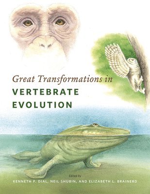 Kenneth P. Dial, Neil Shubin, Elizabeth L. Brainerd - Great Transformations in Vertebrate Evolution, Häftad