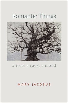 Mary Jacobus - Romantic Things, Häftad