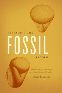bokomslag Rereading the Fossil Record