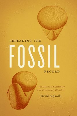 David Sepkoski - Rereading the Fossil Record, Häftad