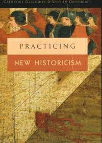 bokomslag Practicing New Historicism