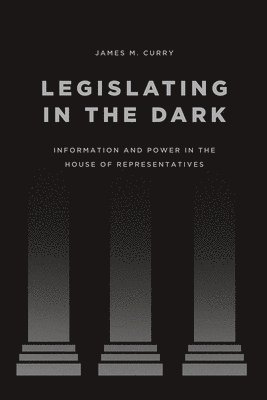 bokomslag Legislating in the Dark