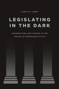 bokomslag Legislating in the Dark