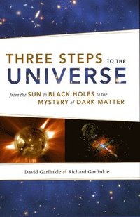 bokomslag Three Steps to the Universe