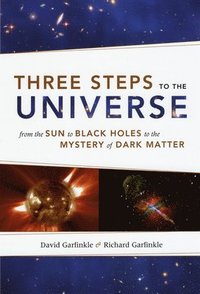 bokomslag Three Steps to the Universe