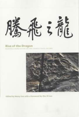 bokomslag Rise of the Dragon