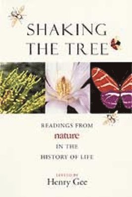 Henry Gee - Shaking the Tree, Häftad